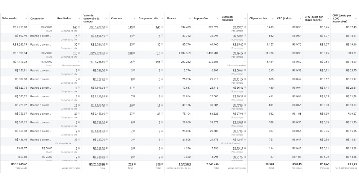 Resultado de e-commerce com tráfego pago